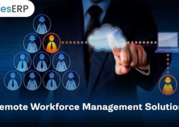 Remote Workforce Management Solutions For Enterprises