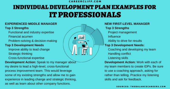 20 Individual Development Plan Examples for IT Professionals - CareerCliff 20 Individual Development Plan Examples for IT Professionals - CareerCliff